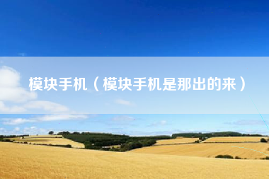 模块手机（模块手机是那出的来）