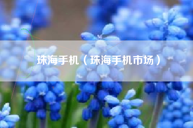 珠海手机（珠海手机市场）