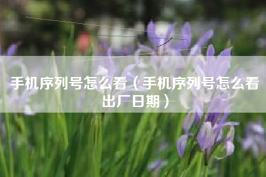 手机序列号怎么看（手机序列号怎么看出厂日期）