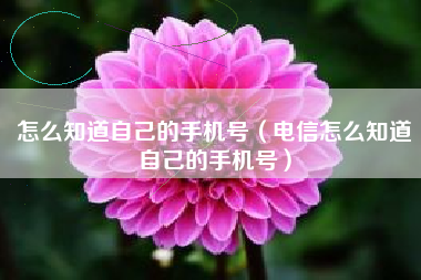 怎么知道自己的手机号（电信怎么知道自己的手机号）