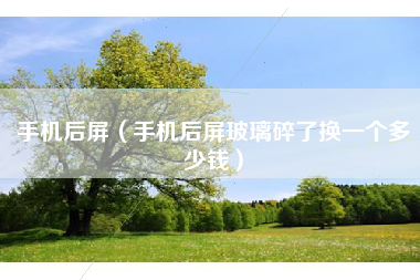手机后屏（手机后屏玻璃碎了换一个多少钱）