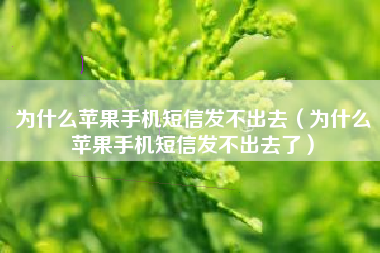 为什么苹果手机短信发不出去（为什么苹果手机短信发不出去了）