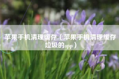 苹果手机清理缓存（苹果手机清理缓存垃圾的app）
