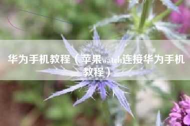 华为手机教程（苹果watch连接华为手机教程）