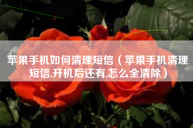 苹果手机如何清理短信（苹果手机清理短信,开机后还有,怎么全清除）