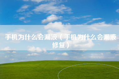 手机为什么会漏液（手机为什么会漏液修复）