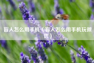 盲人怎么用手机（盲人怎么用手机玩微信）