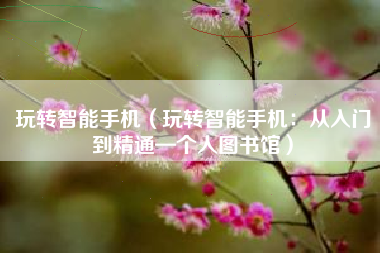 玩转智能手机（玩转智能手机：从入门到精通—个人图书馆）
