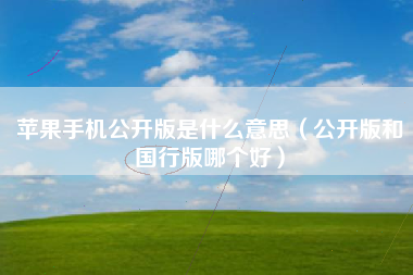 苹果手机公开版是什么意思（公开版和国行版哪个好）