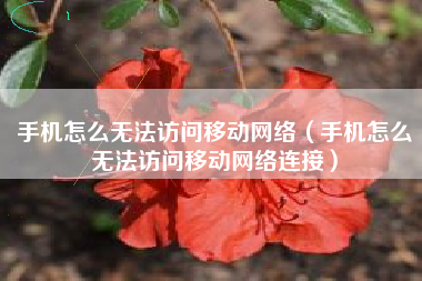 手机怎么无法访问移动网络（手机怎么无法访问移动网络连接）