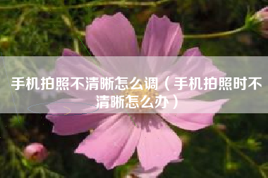手机拍照不清晰怎么调（手机拍照时不清晰怎么办）
