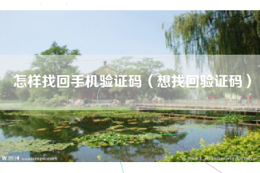 怎样找回手机验证码（想找回验证码）
