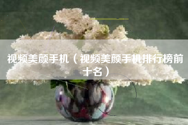 视频美颜手机（视频美颜手机排行榜前十名）