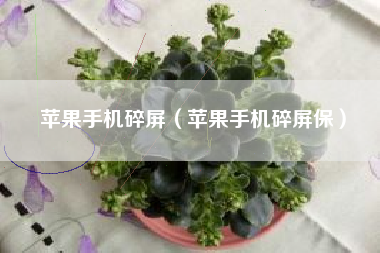 苹果手机碎屏（苹果手机碎屏保）