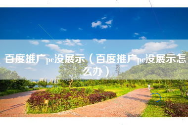 百度推广pc没展示（百度推广pc没展示怎么办）