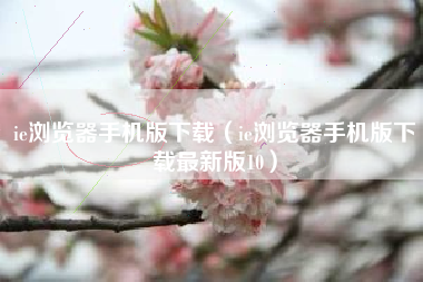 ie浏览器手机版下载（ie浏览器手机版下载最新版10）
