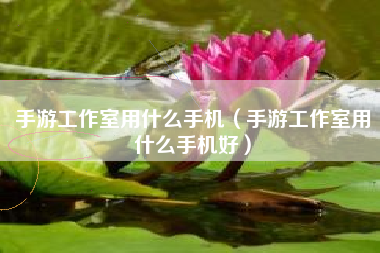 手游工作室用什么手机（手游工作室用什么手机好）