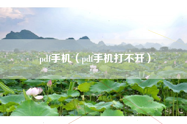 pdf手机（pdf手机打不开）