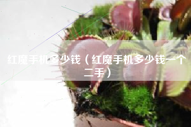 红魔手机多少钱（红魔手机多少钱一个二手）