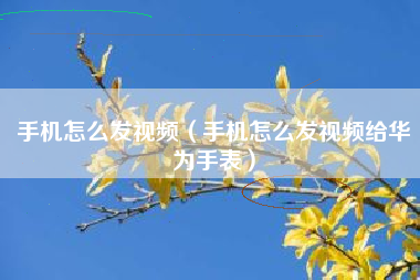 手机怎么发视频（手机怎么发视频给华为手表）