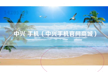 中兴 手机（中兴手机官网商城）
