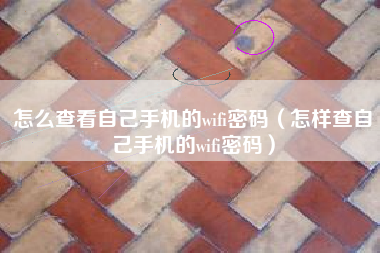 怎么查看自己手机的wifi密码（怎样查自己手机的wifi密码）