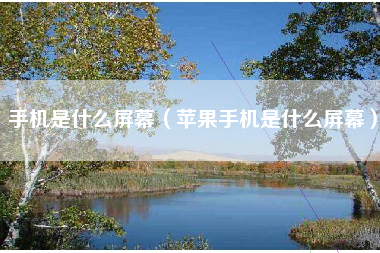 手机是什么屏幕（苹果手机是什么屏幕）