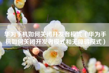华为手机如何关闭开发者模式（华为手机如何关闭开发者模式和无障碍模式）