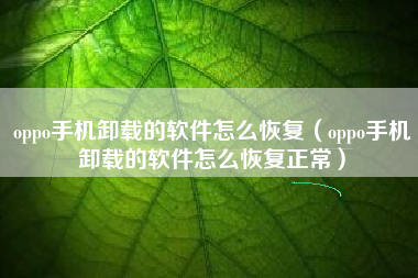 oppo手机卸载的软件怎么恢复（oppo手机卸载的软件怎么恢复正常）