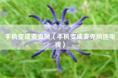 手机变成麦克风（手机变成麦克风连电视）