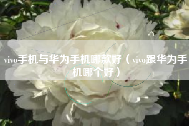 vivo手机与华为手机哪款好（vivo跟华为手机哪个好）