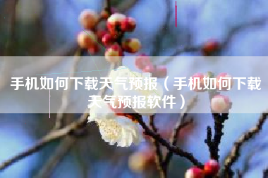 手机如何下载天气预报（手机如何下载天气预报软件）