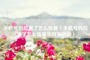 手机号码拉黑了怎么恢复（手机号码拉黑了怎么恢复加好友功能）