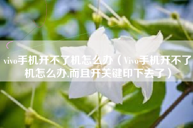 vivo手机开不了机怎么办（Vivo手机开不了机怎么办,而且开关键印下去了）