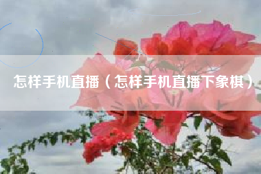 怎样手机直播（怎样手机直播下象棋）