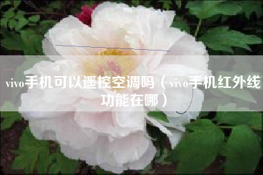 vivo手机可以遥控空调吗（vivo手机红外线功能在哪）