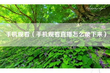手机观看（手机观看直播怎么录下来）