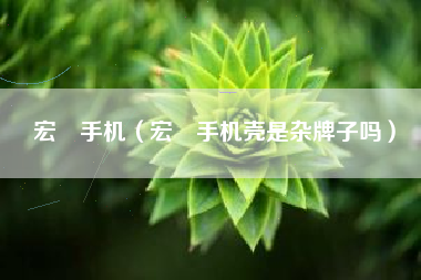 宏碁手机（宏碁手机壳是杂牌子吗）