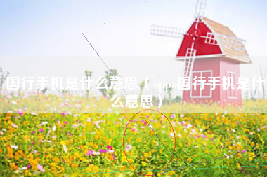 国行手机是什么意思（oppo国行手机是什么意思）