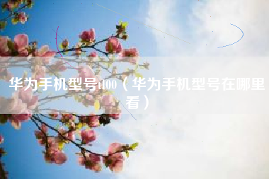 华为手机型号tl00（华为手机型号在哪里看）