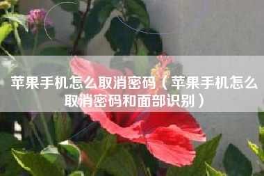 苹果手机怎么取消密码（苹果手机怎么取消密码和面部识别）
