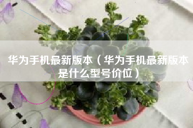 华为手机最新版本（华为手机最新版本是什么型号价位）