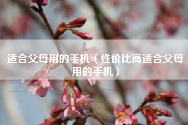适合父母用的手机（性价比高适合父母用的手机）