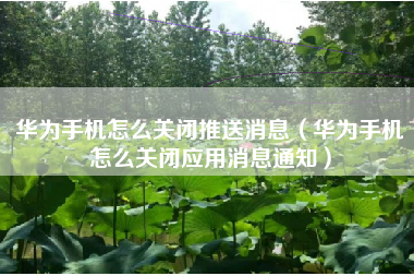 华为手机怎么关闭推送消息（华为手机怎么关闭应用消息通知）