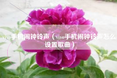 vivo手机闹钟铃声（vivo手机闹钟铃声怎么设置歌曲）