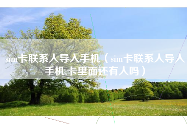 sim卡联系人导入手机（sim卡联系人导入手机,卡里面还有人吗）