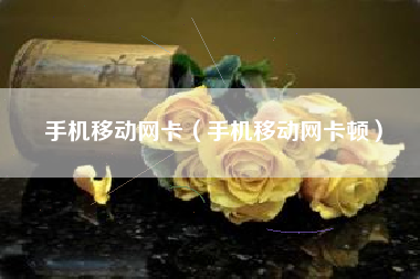 手机移动网卡（手机移动网卡顿）