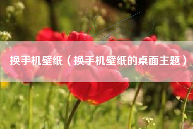 换手机壁纸（换手机壁纸的桌面主题）
