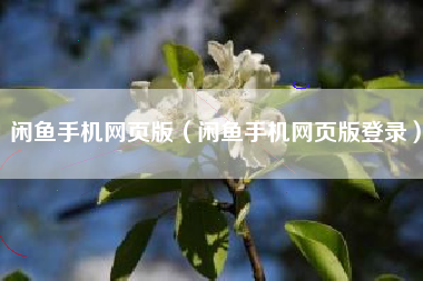 闲鱼手机网页版（闲鱼手机网页版登录）