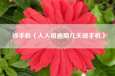 锁手机（人人租逾期几天锁手机）